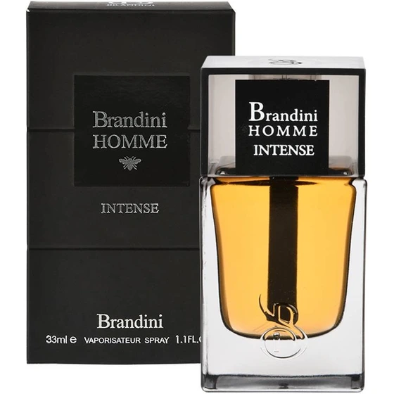 عطر ادکلن برندینی هوم اینتنس مردانه 33 میلی لیتر